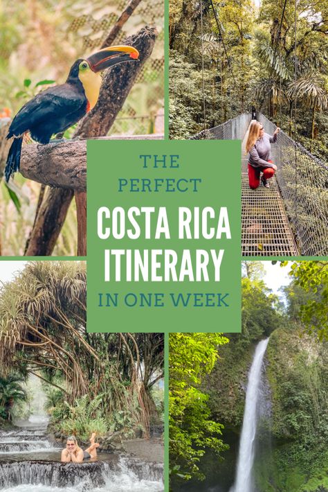 Tamarindo, Costa Rica Itinerary, Monteverde Cloud Forest, One Week Itinerary, Costa Rica Travel Guide, Sky Adventure, Arenal Volcano, Visit Costa Rica, Cloud Forest