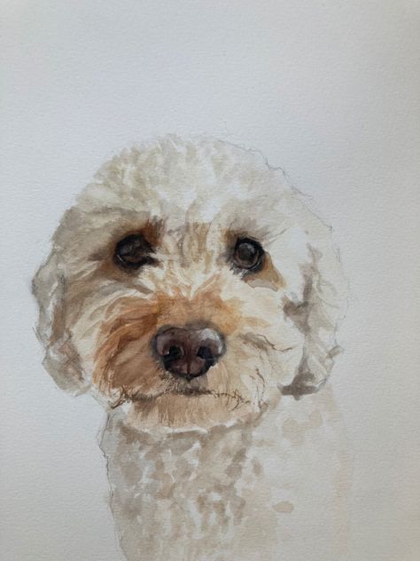 Watercolor Poodle Painting, Puppy Watercolor Paintings, Watercolour Pet Portrait, Dog Watercolour Painting, Cavapoo Painting, Dog Watercolor Painting Easy, Watercolour Dog Painting, Cavapoo Artwork, Cockapoo Painting