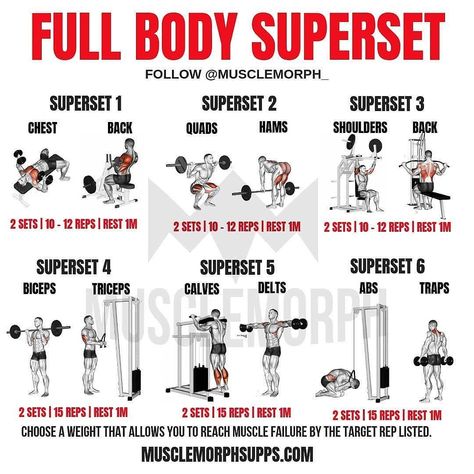 Full Body Superset @musclemorph_... Superset Dumbbell Workout, Full Body Superset Workout Men, Back Workout Superset, Midsection Workout Gym, Full Body Superset Workout Weights, Total Body Superset Workout, Full Body Workouts Gym, Supersets For Women, Full Body Weight Lifting Workout