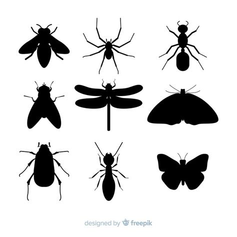 Flat insect silhouette collection Free Vector Bug Silhouette Printable, Insect Silhouette, Rainbow Stencil, Silhouette Flowers, Animals Silhouette, Nature Silhouette, Insect Illustration, Silversmith Jewelry, Butterfly Silhouette