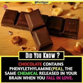 Humour, Chocolate Facts, Science Facts Mind Blown, Physcology Facts, Wierd Facts, Physiological Facts, Psychological Facts Interesting, Biology Facts, Interesting Science Facts