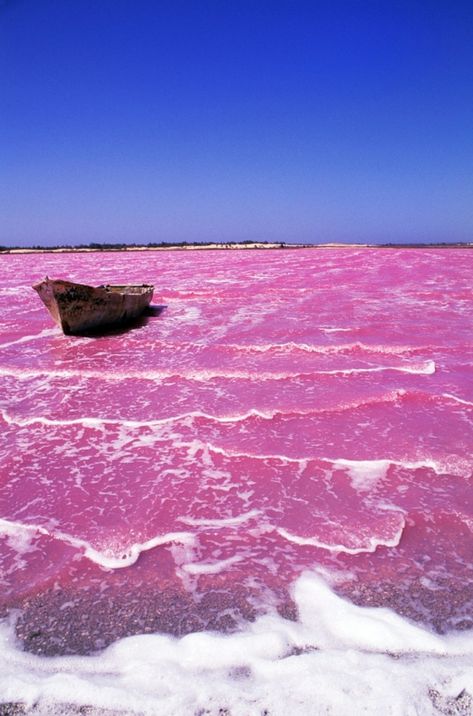 7 Pink #Natural Wonders of the #World ... Lake Retba, Lac Rose, Cap Vert, Pink Lake, Album Foto, Pink Lady, Natural Phenomena, Pretty Places, North East