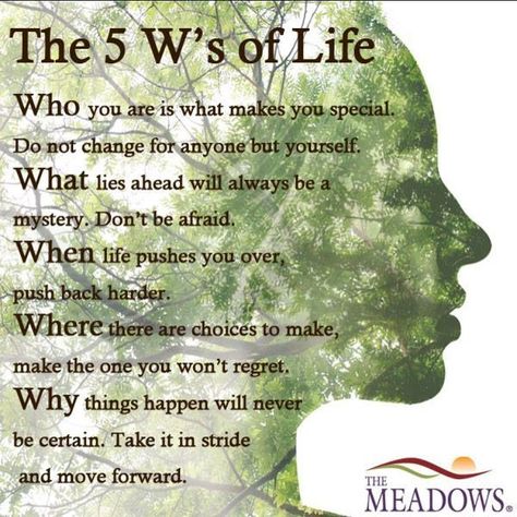 The five W's of life.