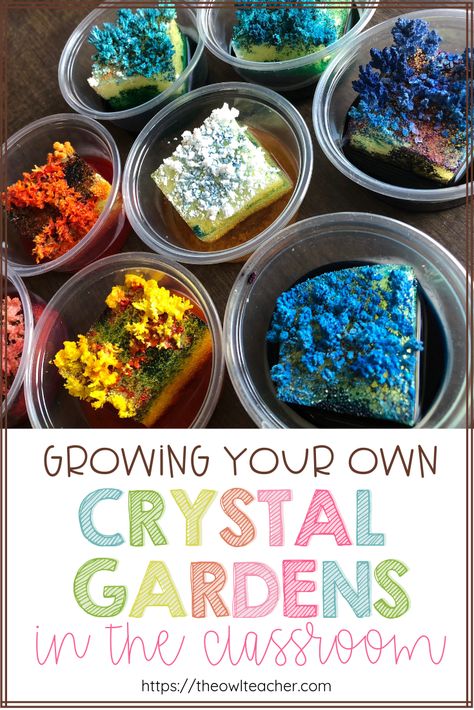 During your rocks and minerals unit, have you ever want to create your own crystal garden or grow your own minerals? This post teaches you exactly what you need to do during your science lesson to make it happen. Minerals Activities, Geology Activities, Garden Activity, Rock Unit, Grow Your Own Crystals, Owl Teacher, Rock Science, Earth Layers, Experiments Kids