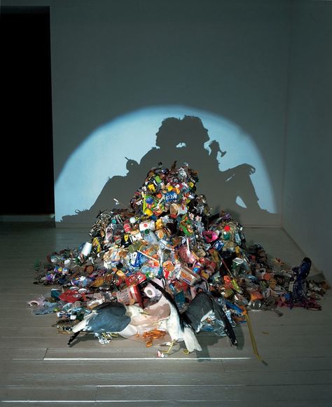 So bizarre!  Piles of trash, but cast a shadow image of something else!  Several more at website (some a bit gruesome!) Land Art, Konst Designs, Instalation Art, Trash Art, Have Inspiration, Shadow Art, White Trash, Wow Art, Recycled Art