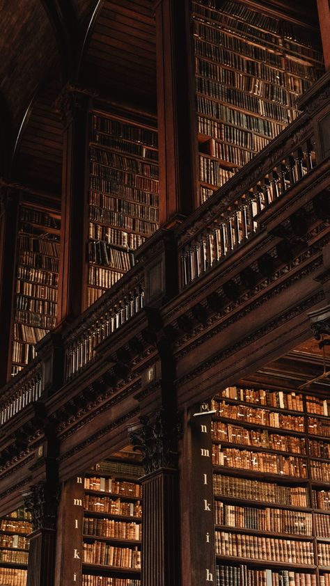 Vintage Library Aesthetic, Dark Academy Aesthetic, Hogwarts Library, Dark Acedamia, Lots Of Books, Dark Academia Wallpaper, Buku Harry Potter, Aesthetic Dark Academia, Castle Aesthetic