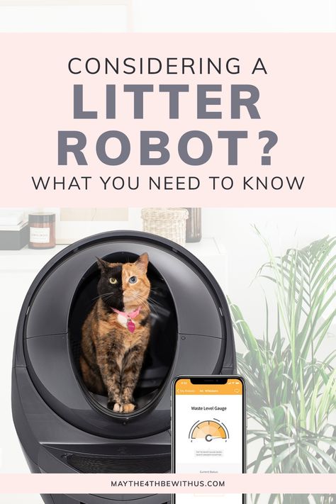 Litter Box Self Cleaning, Cat Litter Box Robot, Auto Cat Litter, Best Self Cleaning Cat Litter Boxes, Automatic Cat Litter Box Ideas, Best Litter Box Cat, Automatic Litter Box Cats, Self Cleaning Litter Box Cats, Richy Rich