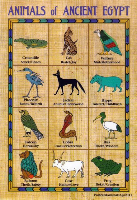 Brane & Nina: Animals of Ancient Egypt Egypt Animals, Egypt Gods, Egypt Project, Starověký Egypt, Ancient Egypt Gods, Egiptul Antic, Egyptian Deity, Ancient Egypt History, Ancient Egyptian Gods