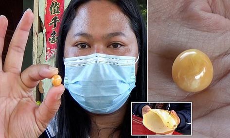 Thai woman finds orange Melo pearl worth tens of thousands of pounds Melo Pearl, Sea Snail, Interesting Stories, Snail Shell, Orange Stone, South China Sea, Her Cut, My Wife Is, To My Mother