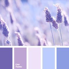 A light and fluffy color composition. Just as you fly up and live in the clouds, but there below cornflower fields are. Shades of blue, pink, lilac, light. Lavender Colour Palette, Violet Color Palette, Lavender Colour, Violet Pastel, Purple Palette, Color Palette Ideas, Purple Color Palettes, Color Lavanda, Shades Of Violet