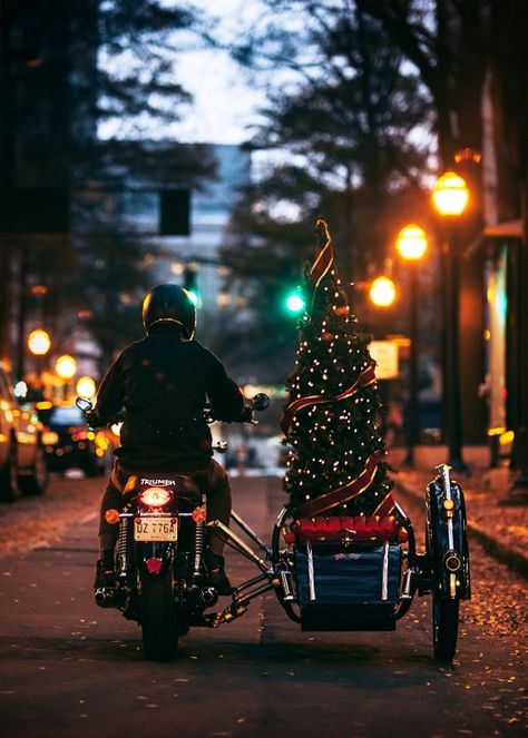 Natal, Motorcycle Christmas, Moto Triumph, Driving Home For Christmas, Live Christmas Trees, Bobber Custom, Moto Cafe, Side Car, Merry Christmas Eve