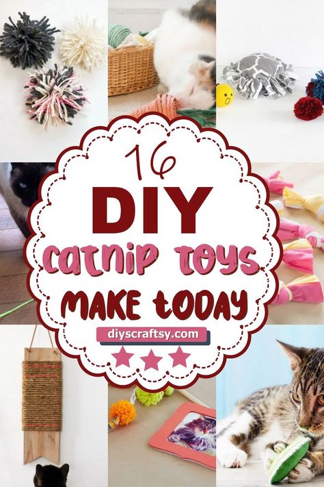 DIY Catnip Toys Catnip Toys Diy, Diy Cat Toys Kittens, Diy Catnip Toys, Diy Cat Toys Easy, Cat Room Diy, Homemade Pet Treats, Felt Cat Toys, Handmade Cat Toys, Cool Cat Toys