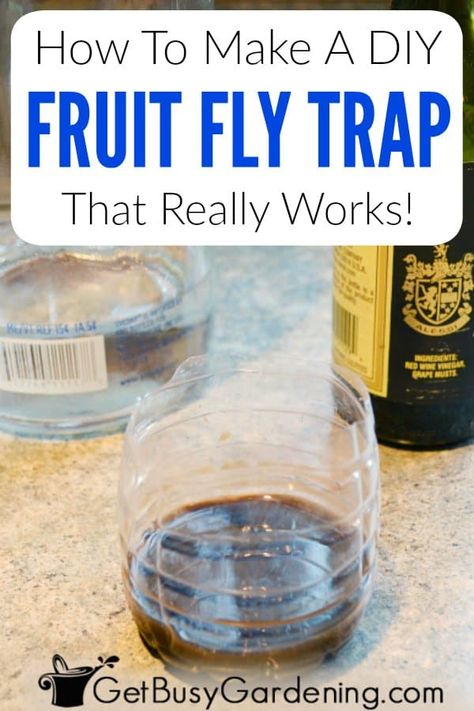 Tired of walking into a cloud of fruit flies in your kitchen? Then learn how to make an easy DIY fruit fly trap using items you already have around the house. It is the best, all natural, homemade option that traps and kills these annoying bugs. All you need are a few simple items and ingredients (like balsamic or apple cider vinegar & alcohol or soap) and you will have those fruit flies under control in no time at all. Also find tips for making one without vinegar (wine, fruit juice, etc). Kill Fruit Flies In House, How To Trap Fruit Flies, How To Catch Fruit Flies In The House, Catch Fruit Flies, Diy Fruit Fly Trap, Fruit Flies In House, Fruit Fly Trap Diy, Bug Juice, Banana Jam