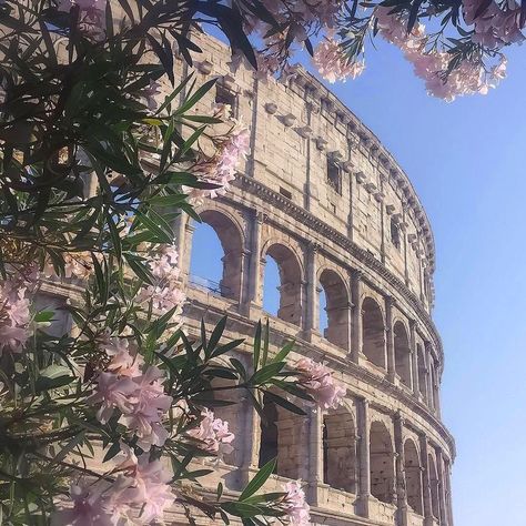 Aesthetic photos and themes and outfits.  *Photos aren't mine* #random # Random # amreading # books # wattpad Elba, Roccocore Aesthetic, Cute Core Aesthetic, Pink View, Fotografi Digital, Ethereal Aesthetic, Italy Aesthetic, Fotografi Potret, Pretty Places