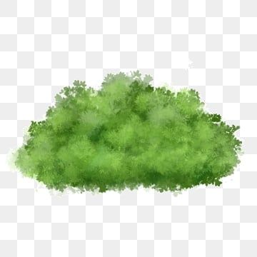 Bush Drawing, Earth Clipart, Cartoon Grass, Grass Png, Grass Decoration, Grass Drawing, Grass Clipart, Digital Wedding Invitations Templates, Tree Photoshop