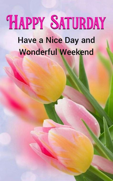 Happy Blessed Saturday, Saturday Morning Images, Good Morning Saturday Wishes, Happy Saturday Pictures, Blessed Saturday, Good Morning Saturday Images, Good Morning Happy Weekend, Happy Weekend Images, Saturday Morning Quotes