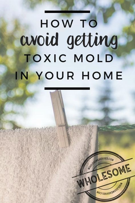 Diy Mold Testing, Frugal Cleaning, Kill Mold, Mold Illness, Mold Prevention, House Mold, Mold Exposure, Toxic Mold, Black Mold