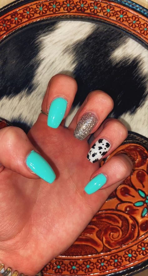 Cow Print Turquoise Nails, Cow Print Nail Designs Acrylic, Mail Designs Easy, Cow Print Blue Nails, Nails Acrylic Teal Turquoise, Cow Print Nails With Teal, Acrylic Nails Ideas Cow Print, Turquoise Nails Western Cow Print, Pink And Blue Cow Print Nails