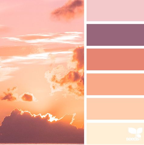 Design Seeds, Seeds Color Palette, Seeds Color, Color Schemes Colour Palettes, Nature Color Palette, Grey Color Scheme, Color Palette Design, Colour Pallete, Aesthetic Colors