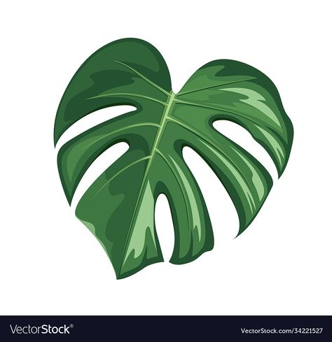 Monsters Leaf Drawing, Monstera Drawn Simple, Animated Leaves, Monstera Leaf Drawing, Monstera Sticker, Leaf Cartoon, Hawaiian Leaf, Leaf Vector, Leaf Clipart