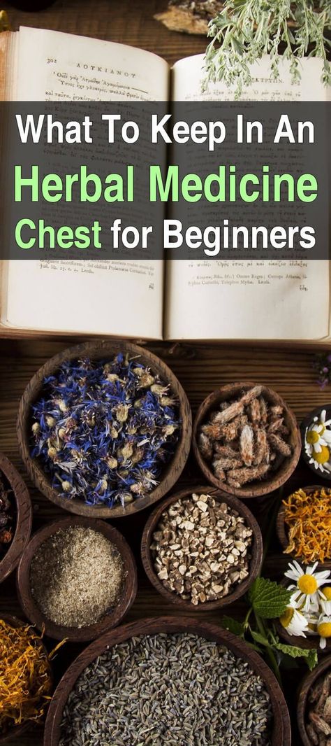 What to Keep in an Herbal Medicine Chest. This is the perfect place to start if you're new to all of this. Here is a list of the most important herbs and essential oils and explains what they're for. #Homesteadsurvivalsite #Herbalmedicine #Livingoffthegr Herb Medicine, Medicine Chest, Herbs And Flowers, Herbal Apothecary, Natural Healing Remedies, Herbal Healing, Natural Therapy, Healing Herbs, Natural Health Remedies