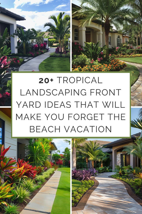 Collage of tropical landscaping ideas for front yards, featuring palm trees, vibrant flowers, and well-designed pathways, ideal for enhancing home exterior aesthetics. Tropical Garden Front Yard, Landscape Design In Florida, Palm Trees Landscaping Front Yard, Garden Tropical Ideas, Florida Front Landscaping Ideas, Landscape With Palm Trees Front Yard, Tropical Home Landscaping, Front Yard Landscaping With Palm Trees, Cold Hardy Tropical Landscaping