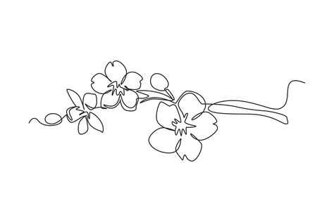 Single one line drawing Cherry tree spring flower. Cherry blossom concept. Continuous line draw design graphic vector illustration. 19510795 Vector Art at Vecteezy Cherry Blossom Line Art Tattoo, Simple Cherry Blossom Drawing, Cherry Blossom Tree Tattoo Design, Cherry Blossom Fine Line Tattoo, Cherry Blossom Line Drawing, One Line Tree, Continuous Line Drawing Flower, Mugunghwa Tattoo, Cherry Blossom Tattoo Minimalist