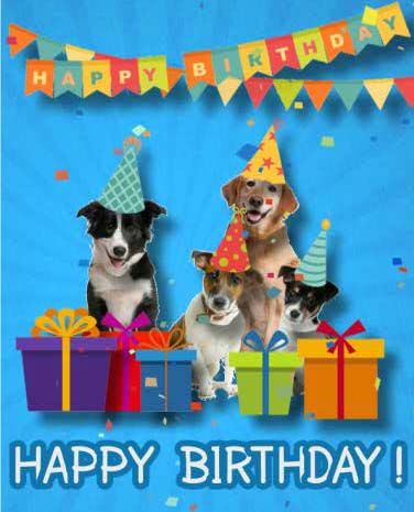 Free Ecards Birthday E Cards, Birthday E Cards, Happy Birthday Singer, Birthday E-card, Birthday Sparklers, Birthday Fireworks, Birthday Dogs, Pointing Griffon, Cute Birthday Wishes