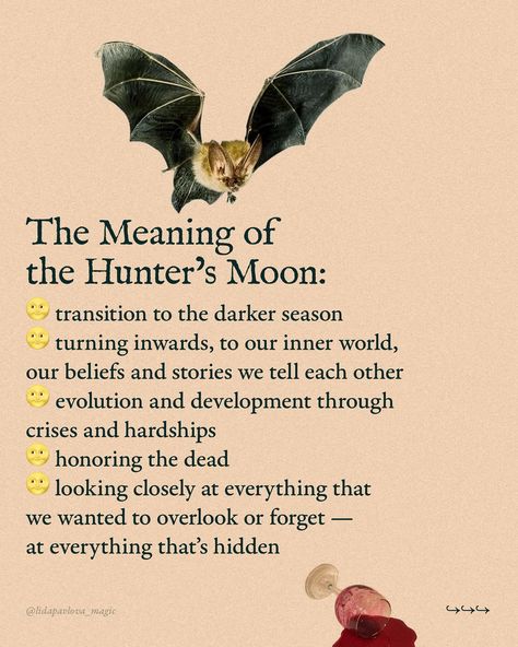 Astrologically, we are all having the same Full Moon all over the globe. But in terms of seasonal magic, it’s very different: here, in Serbia, I’m having spring, but some of my audience are experiencing autumn — if they live in the Southern Hemisphere. Seasonal magic is the art of feeling your land’s seasons, one Moon month after another — and doing your craft accordingly🌙 The names, such as Hunter’s Moon for this particular Full Moon, can be optional and change from one tradition to anoth... Witchcraft Inspiration, Hunter Moon, Hunters Moon, Full Moon Names, Moon Names, Hunter S, They Live, Serbia, Full Moon