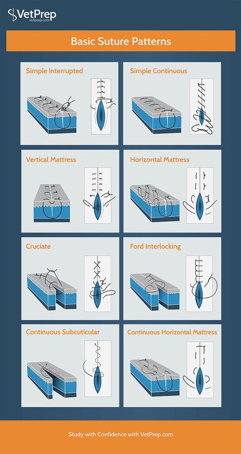 Infographic: Basic Suture Patterns Stitches Medical, Suture Practice, Vet Tech School, Veterinary Tech, Vet Tech Student, Vet Technician, Supraviețuire Camping, Kedokteran Gigi, Veterinary School