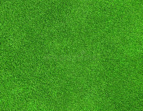 Green grass texture. Beautiful green grass texture on golf course , #sponsored, #texture, #grass, #Green, #golf, #green #ad Grass Seamless, Grass Texture, Kate Green, Green Grass Background, Grass Pattern, Grass Background, Grass Textures, Green Texture, Grasses Garden