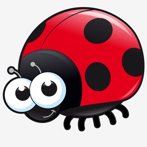 Ladybug Cartoon Images, Cocomelon Ladybug, Ladybug Cartoon Drawing, Cute Ladybug Drawing, Cute Ladybug Cartoon, Ladybird Drawing, Bug Clipart, Bug Drawing, Ladybug Clipart