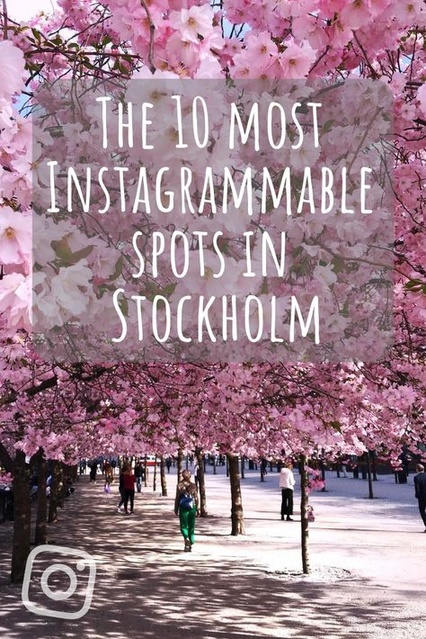 Stockholm is beauty on water. Here are the top 10 most instagrammable spots in the Swedish capital. Stockholm Instagram Spots, Stockholm Sweden Travel, Stockholm Photo Ideas, Stockholm Travel, Visit Stockholm, Stockholm City, Honeymoon Places, Most Instagrammable Places, Sweden Travel