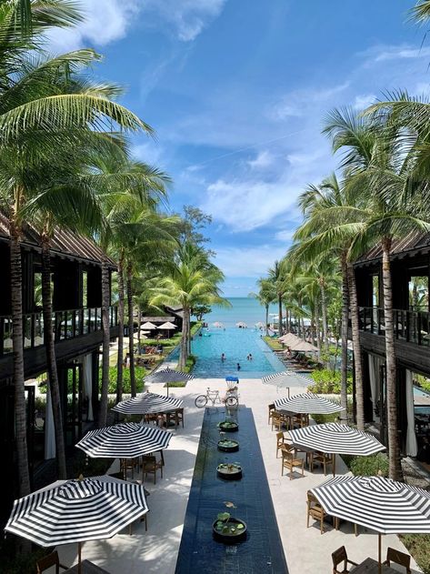 Bonito, Karma Resort Koh Samui, Kimpton Kitalay Samui, Koh Samui Thailand Hotels, Koh Sumai Thailand, Thailand Hotels Luxury, Kho Samui Thailand, Thailand Resort, Resort Hotel Design