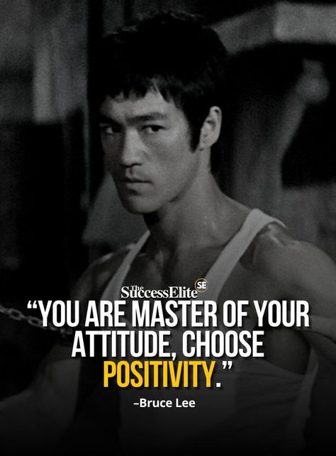 Quotes On Winning, Julia Roberts Quotes, Martial Arts Quotes, Winning Quotes, Perseverance Quotes, Bruce Lee Martial Arts, Bruce Lee Quotes, Life Choices Quotes, Motivational Inspiration