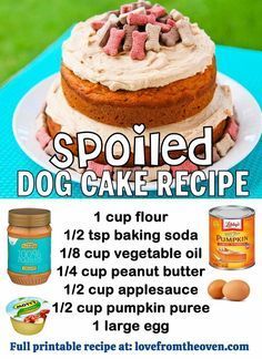 Spoiled Dog Cake, Dog Cake Recipe, Danny Dog, Dog Cake Recipes, Cake Dog, Spoiled Dog, Pet Treats Recipes, Easy Dog Treat Recipes, Dog Biscuit Recipes