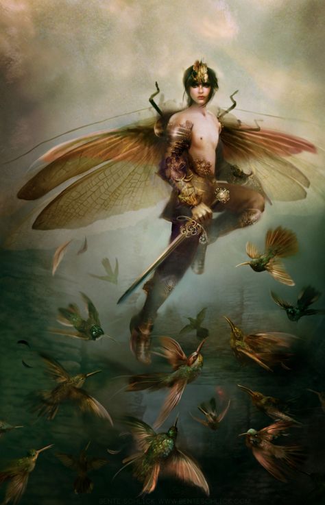 APHRODISIAC ART : Photo Male Fairy, Elves And Fairies, Ange Demon, Fairy Dragon, Nature Spirits, Fairies Elves, Fantasy Fairy, Wow Art, Mythological Creatures