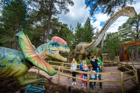 London Bus, Animatronic Dinosaur, Dinosaur Theme Park, Dino Park, Dinosaur Park, Forest Adventure, The Good Dinosaur, Dinosaur Theme, Tyrannosaurus Rex