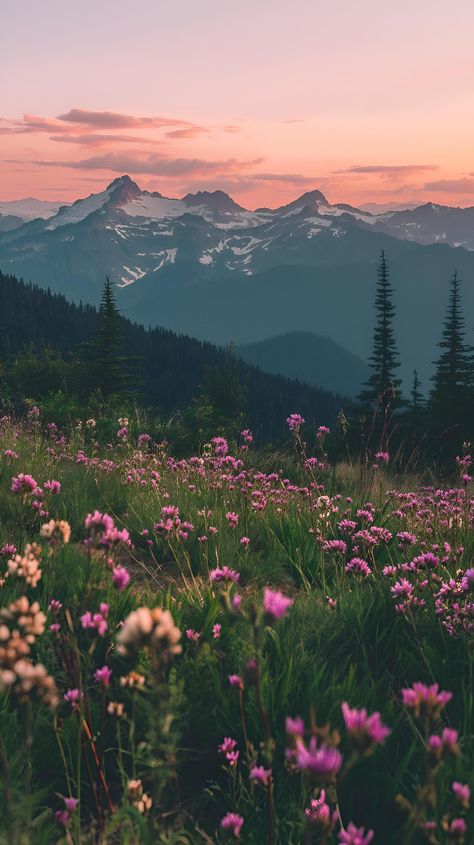 Capture the serene beauty of this majestic mountain scene at sunset - a picturesque moment to adorn your walls. Don't miss out, save & follow us for more visually stunning art. Flushed with the warmth of twilight, this landscape mesmerizes with a foreground of vibrant pink wildflowers against a backdrop of lush greens, encapsulating the tranquil essence of nature. Elevate your space with this breathtaking view.  #MountainBeauty #SunsetViews #NatureArt #WildflowerWonder #ArtPrint #WallDecor #SaveAndFollow #ImagePrompt #AIImage Nature, Sunset Mountains Wallpaper, Ipad Wallpaper Mountains, Mountain Summer Aesthetic, Mountain Phone Wallpaper, Aesthetic Papers, Twilight Landscape, Mountain Sunsets, Valley Aesthetic