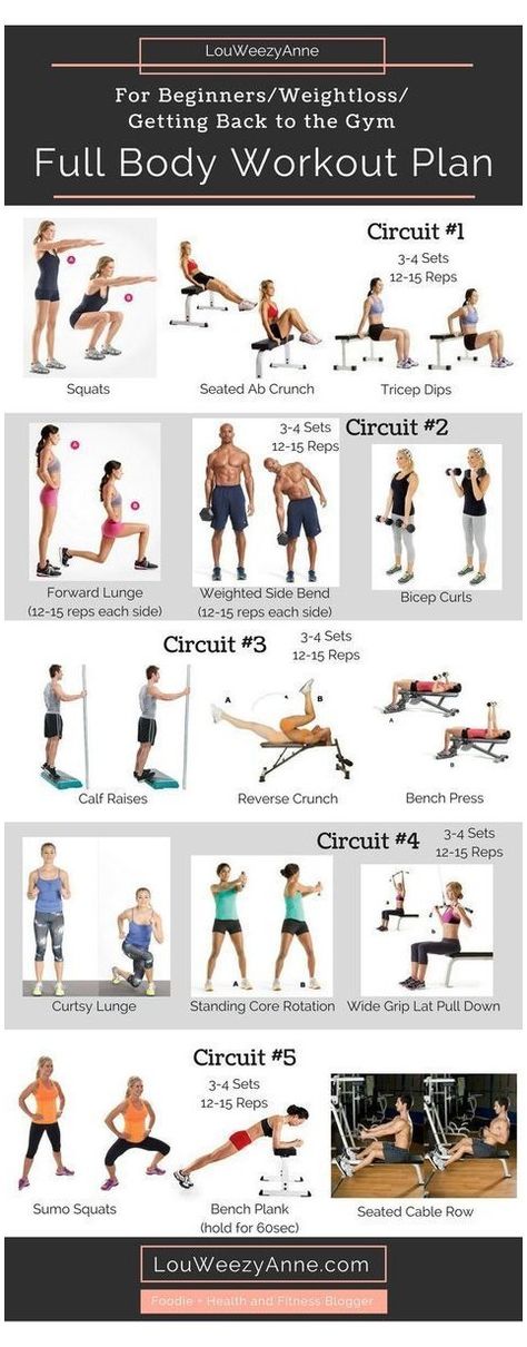 Full Body Circuit, Woman Workout, Cardio Beginner, Total Body Workout Plan, Full Body Circuit Workout, Beginner Training, Fitness Studio Training, Full Body Workout Plan, Full Body Weight Workout
