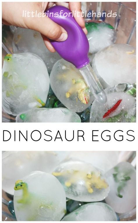 Easy to make frozen dinosaur eggs for ice melt science and sensory play. Frozen dinosaur eggs are simple to set up and provide hours of play and learning! Preschool Paleontologist Activities, Frozen Dinosaur Eggs, Maluchy Montessori, Dinosaurs Preschool, Dinosaur Activities, Dinosaur Crafts, Dinosaur Eggs, Aktivitas Montessori, Dinosaur Theme