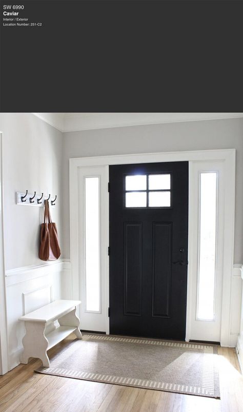 7 Best Black Paint Colors By Sherwin-Williams — Tag & Tibby Design Black Doors Paint Colors, White House Colored Front Door, Front Door Black Interior, Best Sherwin Williams Blacks, Front Door Paint Colors Interior, Black Caviar Paint, Black Exterior Paint Sherwin Williams, Paint Interior Front Door Black, Black Front Door Colors Sherwin Williams