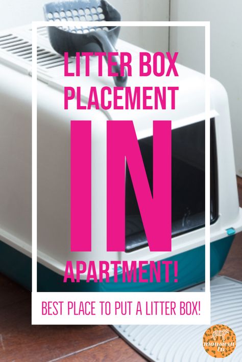 Litter Box Small Space, Small Space Cat Litter, Cat Litter Placement Ideas, Where To Put Litter Box In Small House, Small Litter Box Ideas, Cat Litter Box Small Spaces, Double Cat Litter Box Ideas Hidden, Cat Litter Box For Small Spaces, Small Bathroom Litter Box Ideas