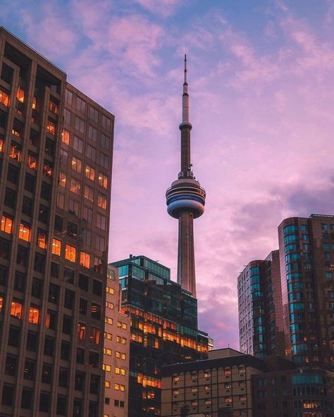 CN tower Toronto Aesthetic, Photography Buildings, Toronto City, Future Photos, Canada Toronto, Sunset City, Sky Sunset, Take Better Photos, Till The End