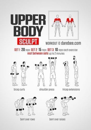 Strength Training For Fat Loss, Arm Workout Men, Fitness Studio Training, Trening Sztuk Walki, Gym Antrenmanları, Latihan Kardio, Dumbell Workout, Weight Training Workouts, Training Motivation