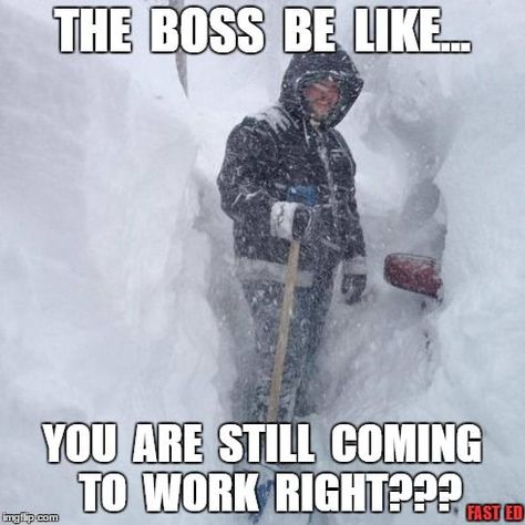 2. We don't get many "snow days" here. We have to call in sick to go skiing on a weekday (or so I've heard). Humour, Winter Meme, Cold Weather Funny, Winter Jokes, Winter Humor, Snow Humor, Funny Baby Card, Best Funny Photos, Funny Baby Quotes