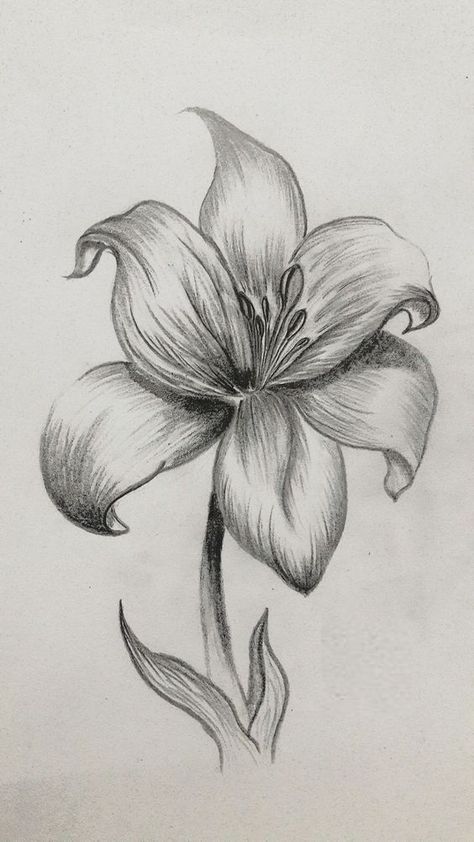 Cute Drawings In Pencil, Sketch Of Flowers Pencil, Shadings In Drawing, Sketches Pencil Flower, Shaded Flower Drawing, Shading Flowers Drawing, Pencil Drawing Of Nature, Sketching Ideas Pencil Nature, Flower Drawing Shading