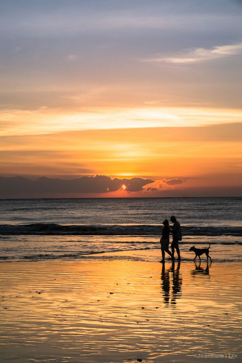 Couples Walking On The Beach, Beach Walks Couple, Couple In Sea Beach, Dog Walk Aesthetic Couple, Walks On The Beach Aesthetic, Couple Walking Dog Aesthetic, Walking On The Beach Aesthetic, Walking Together Aesthetic, Beach Walks Aesthetic