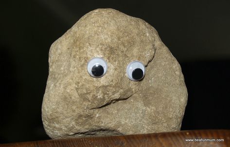 Pet Rocks Rock Meme, Pet Rock, Funny Rock, Rock Aesthetic, Smile Images, List Of Animals, Cosmic Horror, Googly Eyes, Pet Rocks