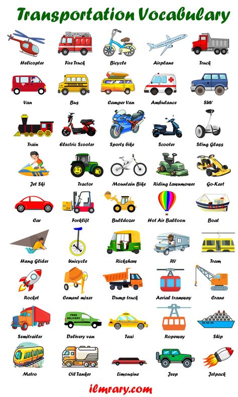 Fish Infographic, Transportation Vocabulary, Subject Label, Study English Grammar, Animals Name In English, Logic And Critical Thinking, Types Of Vehicles, All About Me Printable, English Grammar For Kids